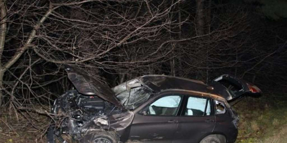 Dzik wbiegł pod BMW. Kierowca w rowie