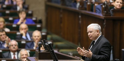 Kaczyński jak Piłsudski? Mocne słowa Schetyny