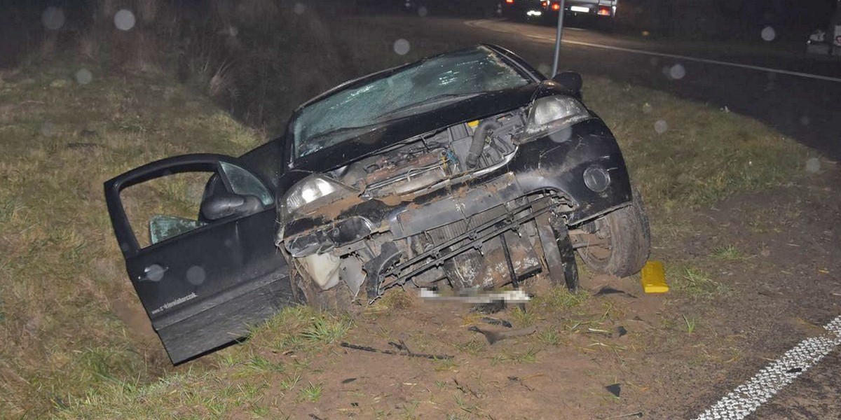 Policjanci pojechali do wypadku w Wojcieszkowie. Na miejscu zastali pijaną 31-latkę w zaawansowanej ciąży.