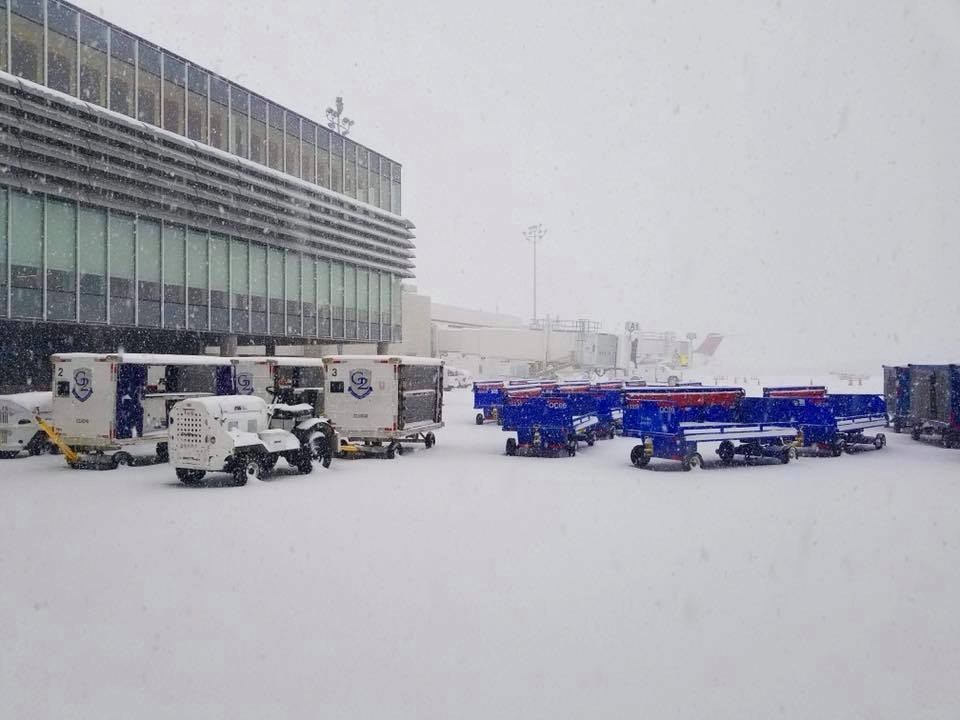 epa06416780 - USA WEATHER SNOWFALL (Southern snowfall in Charleston, South Carolina, USA)