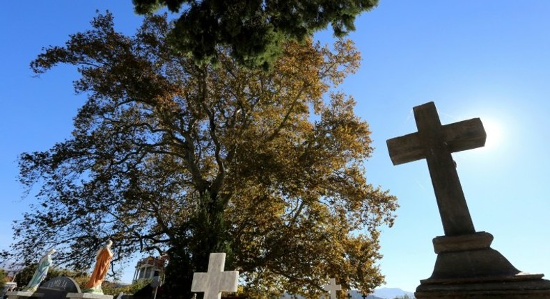 The plane tree in the Rrmaj cemetery where it is believed that some of 38 martyrs of the catholic church have been executed during the communist regime on November 1, 2016