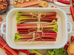 Rabarbar nowym lekiem na raka? Obiecujące wyniki badań