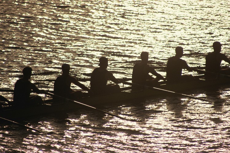 To zdolność do rozpoznawania i rozumienia pragnień, nastrojów, motywacji i intencji innych osób. Ludzie o wysokim poziomie inteligencji interpersonalnej mają zdolność do rozpoznawania u innych ich intencji nawet wtedy, gdy są one ukryte. <br><br>
Ten typ inteligencji można zaobserwować u politycznych i religijnych przywódców, u osób zajmujących się sprzedażą, u psychologów i nauczycieli, a także u rodziców.