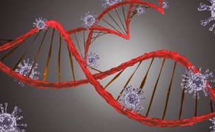 Doustna szczepionka przeciw Covid-19. Naukowcy przeprowadzili badania pilotażowe