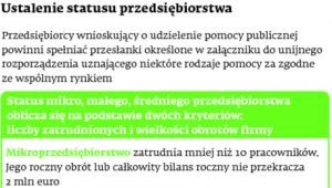 Ustalenie statusu przedsiębiorstwa