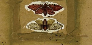 Mina Caputo 'As Much Truth As One Can Bear' - recenzja