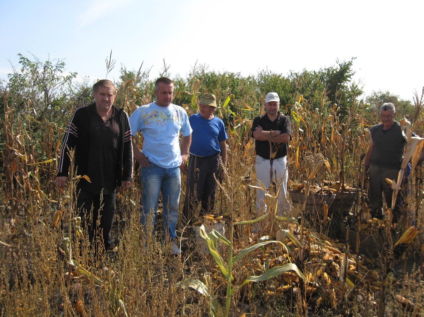 Mnogim ratarima su ovog leta usevi stradali u požarima