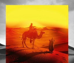 Wieczni nomadzi. „Pod osłoną nieba”