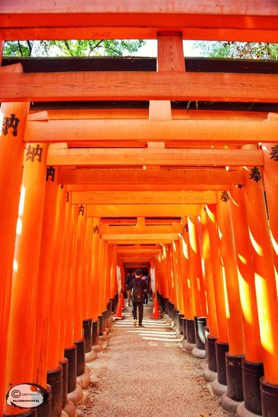 Fushimi Inari