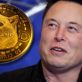 Elon Musk stworzy własną kryptowalutę? Miliarder pracuje nad rozwojem dogecoina