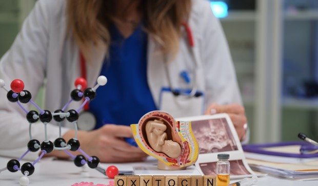 Oksitocin je hormon koji se proizvodi u hipotalamusu, a hipofiza ga oslobađa u krvotok