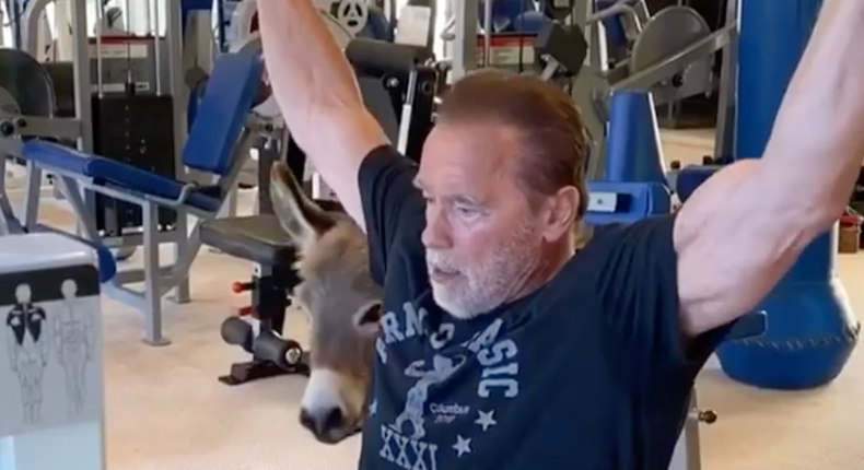 Arnold Schwarzenegger Shares Home Workout Video