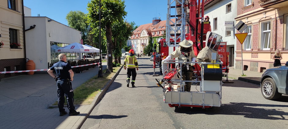 Około 50 tysięcy pszczół wstrzymało ruch na ulicy Dworcowej w Drawsku Pomorskim