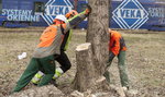 Wycinają drzewa pod budowę centrum przesiadkowego w Zawodziu