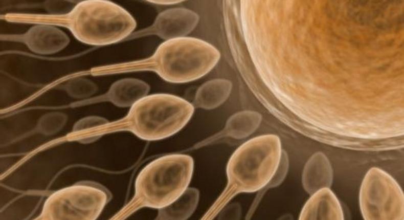 According to an expert, not all fertile men may be able to donate sperm.