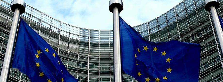 Brukselscy urzędnicy nie dopatrzyli się niezgodnego z prawem działania firmy Velux