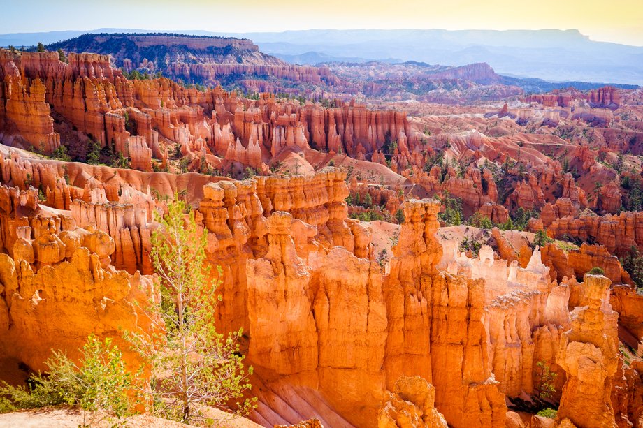 Rozkoszuj się niesamowitym widokiem rozchodzącym się z Rainbow Point, najwyższej części Bryce Canyon National Park w południowo zachodniej części stanu Utah, w USA. Z wysokości 2775 m.n.p.m możesz podziwiać wspaniałą panoramę rozchodzącą się na Aquarius Plateau, amfiteatr Bryce, Góry Henry’ego, Białe Klify oraz Klify Vermillion.