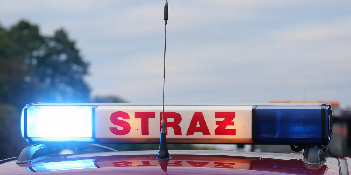 siestrzeń wypadek polski bus