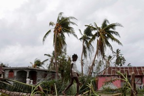 A girl walks on a tree damaged by Hurricane Matthew in Les Cayes