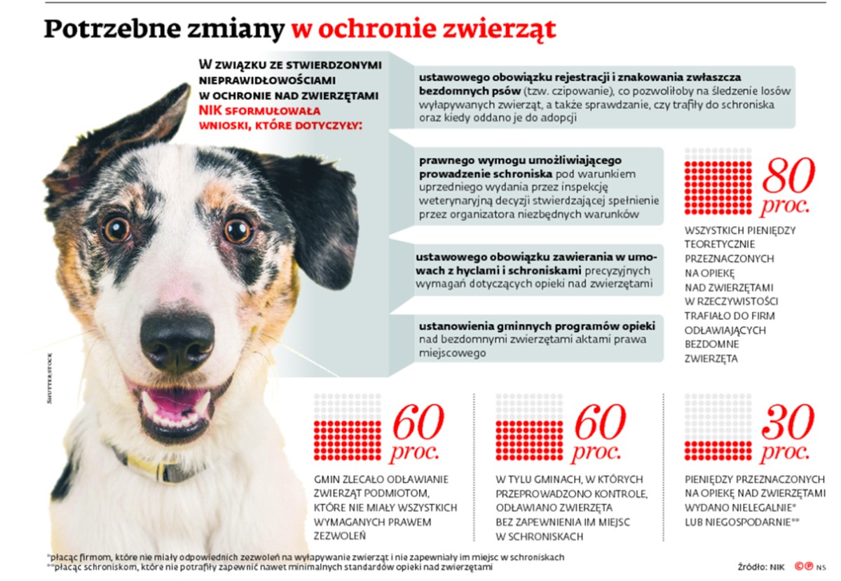 Potrzebne zmiany w ochronie zwierząt