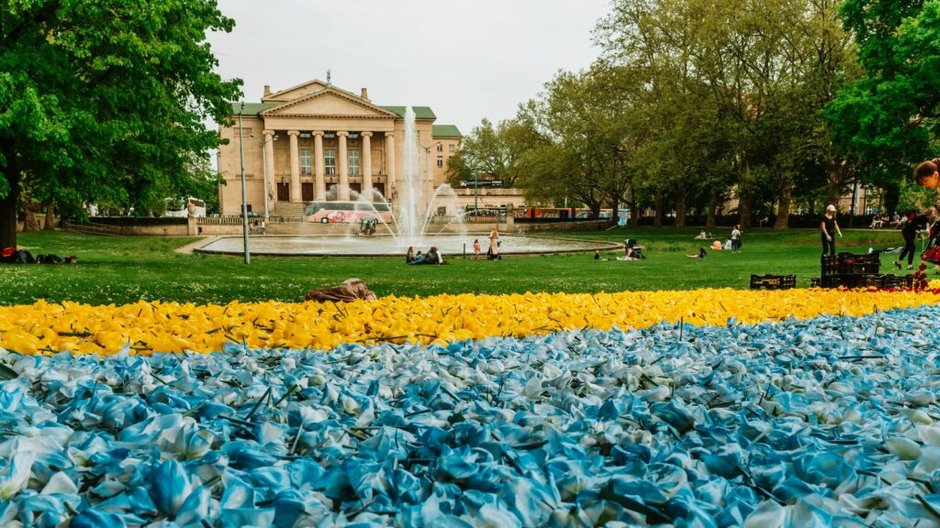 Dywan kwiatowy w centrum Poznania. To podziękowanie dla pomagających Ukrainie