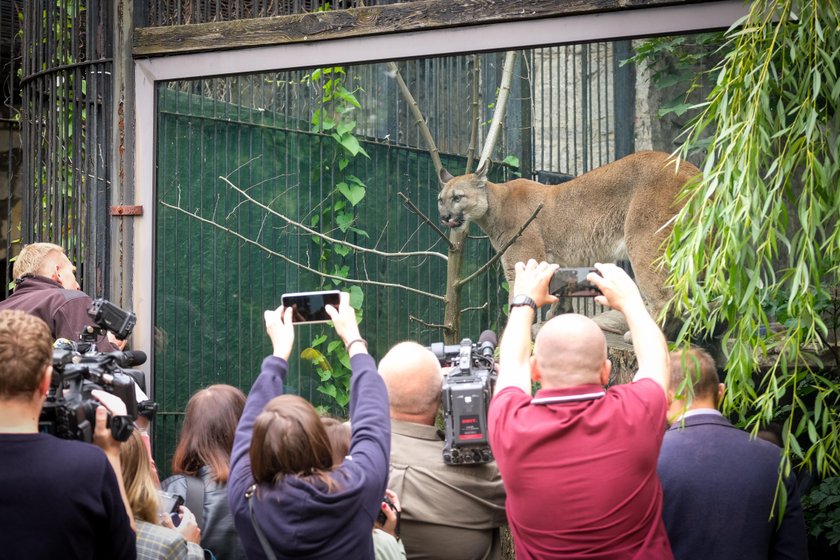 Tłumy w zoo