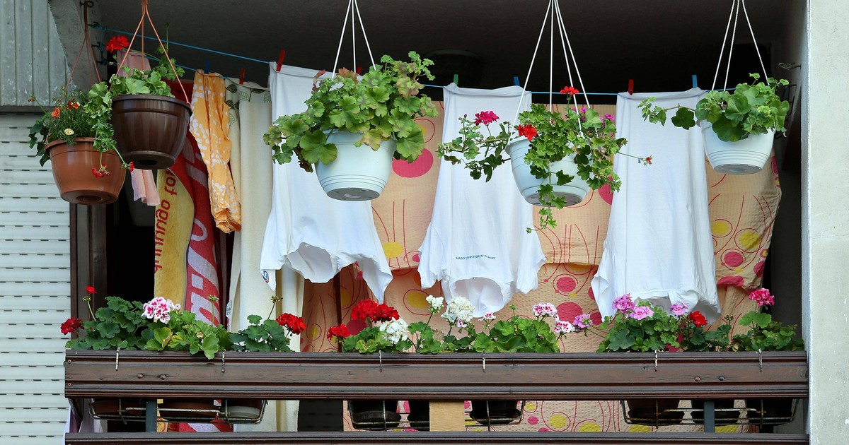 Möglicherweise kommen Sie nicht umhin, die Wäsche auf dem Balkon zu trocknen.  Die Strafe ist hart