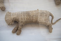 Unikalne odkrycie w Egipcie. Mumie lwów i innych wielkich kotów