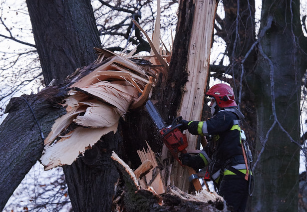 1,5 tysiąca interwencji strażaków w związku z wichurą. Zginęła 1 osoba a 4 zostały ranne