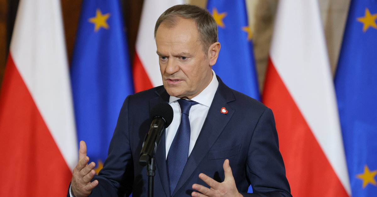 Zmiana w Lasach Państwowych. Donald Tusk ogłasza, kto będzie ich nowym szefem