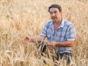 PRawo do KRUS mają także domownicy rolnika, którzy ukończyli 16 lat, pozostają z rolnikiem we wspólnym gospodarstwie domowym, lub w bliskim sąsiedztwie i stale pracują w tym gospodarstwie, nie będąc związanym z nim stosunkiem pracy.