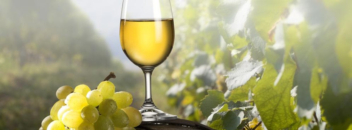 Wino