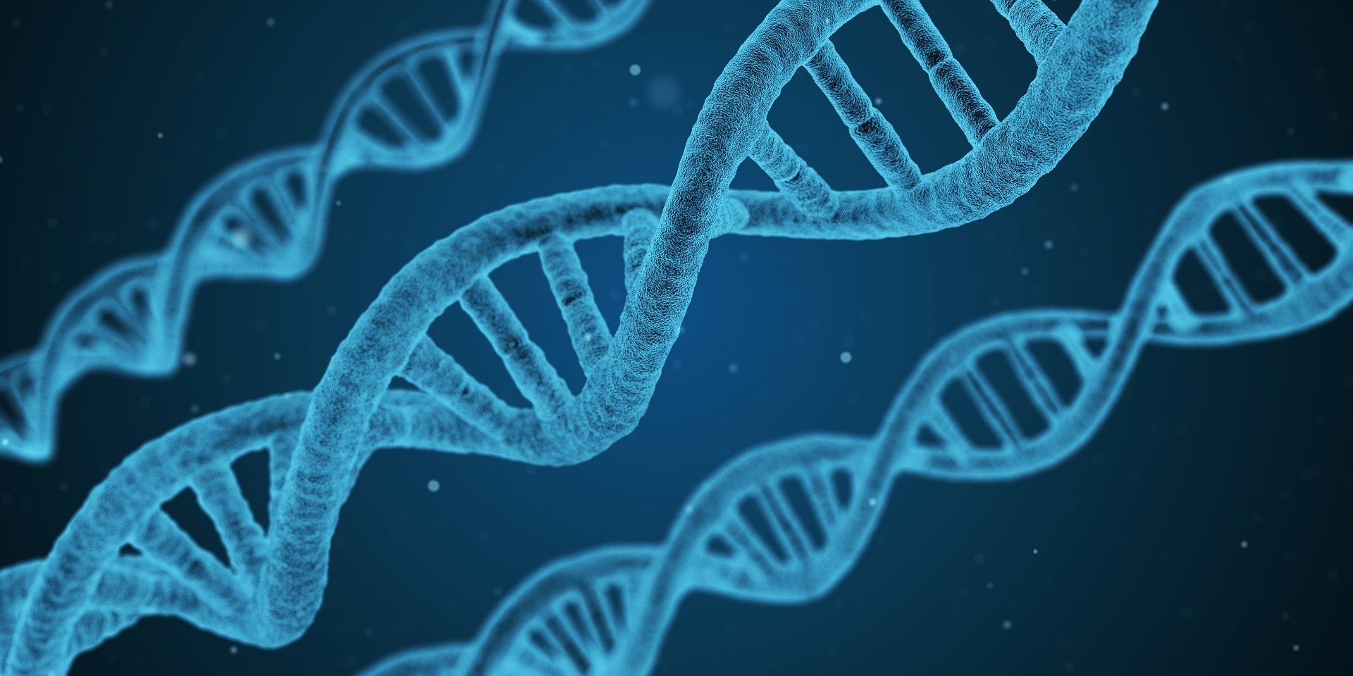 DNA človeka