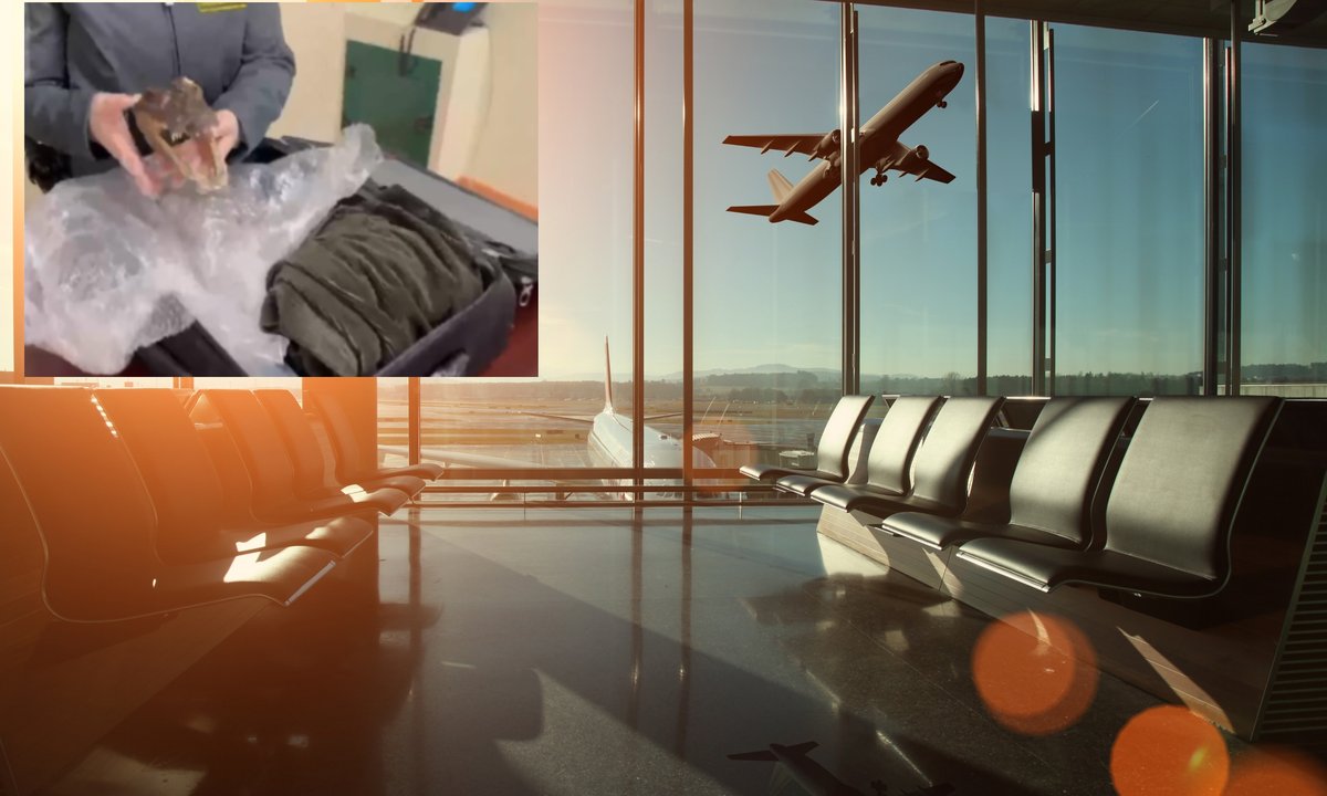 Głowa krokodyla w walizce. Pasażer wracający z Tajlandii zatrzymany na lotnisku