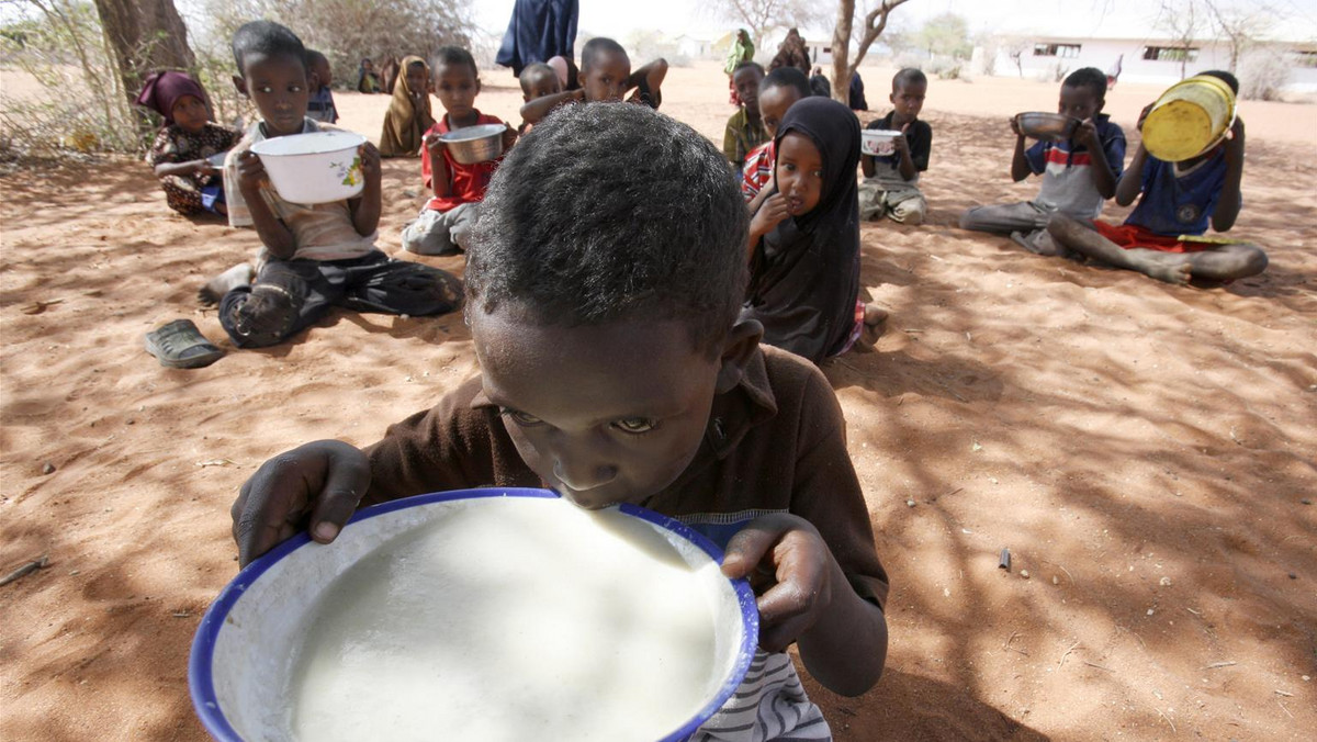 Dzięki szeroko zakrojonej akcji pomocowej w Rogu Afryki zahamowano dalsze rozprzestrzenianie się klęski głodu i uratowano życie tysięcy dzieci. Pomimo poprawy sytuacji w tym rejonie, perspektywy na przyszłość są niepokojące i zagrażają osiągniętym do tej pory rezultatom.