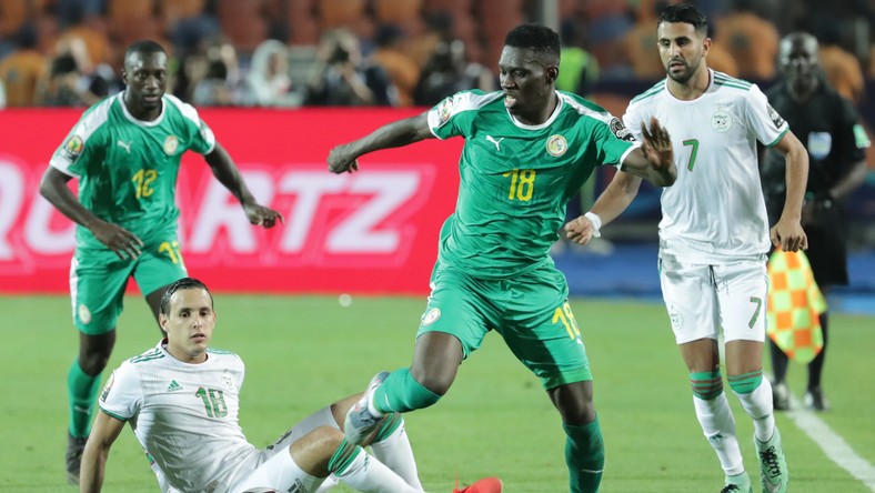 PNA 2019: Algieria pokonała w finale Senegal - Piłka nożna