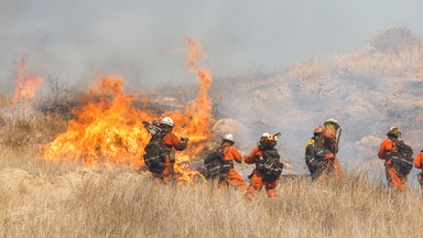 Onet24: wzrosła liczba ofiar pożaru w Kalifornii