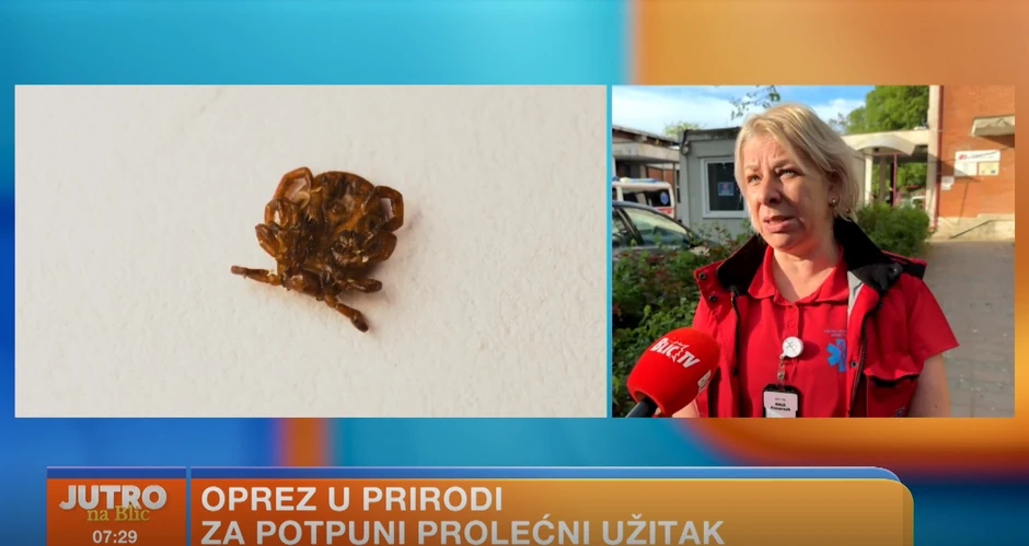 doktorka Maja Stojanović o krpeljima