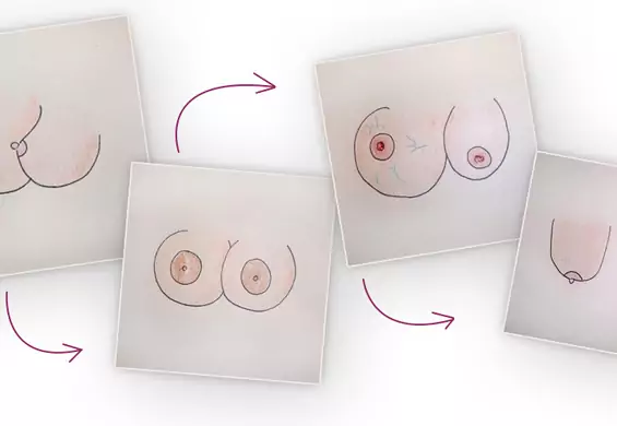Cykl życia kobiecych piersi na 4 rysunkach: od skocznych piłek, po mleczne dzbany i uszy spaniela