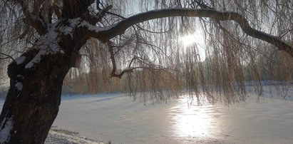 Siarczysty mróz, śnieg i… słońce. Synoptycy o pogodzie na weekend [PROGNOZA DLA REGIONÓW]