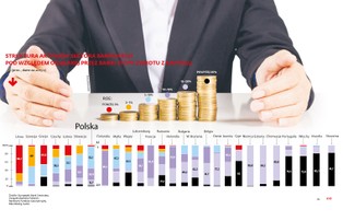 Dokąd płyną dochody banków? Zdecydowana większość zysków została w kraju