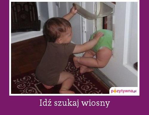 Internet przegania zimę dowcipem