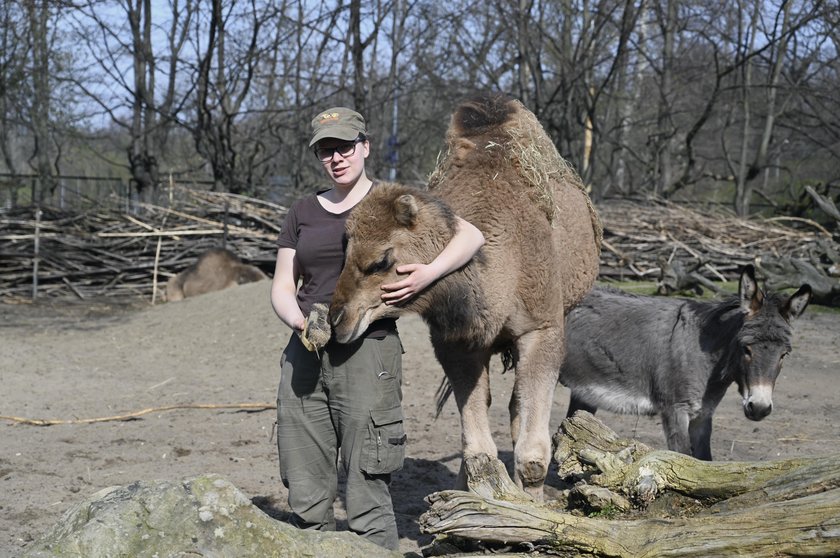 Koronawirus w Polsce. Oni nie mogą pracować w domu