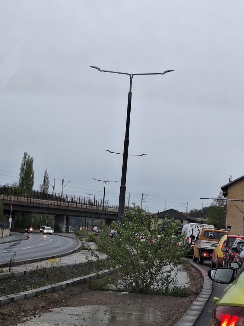 Gužva na Košutnjaku