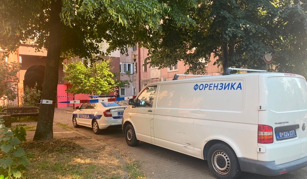 Bežanijska kosa hronika