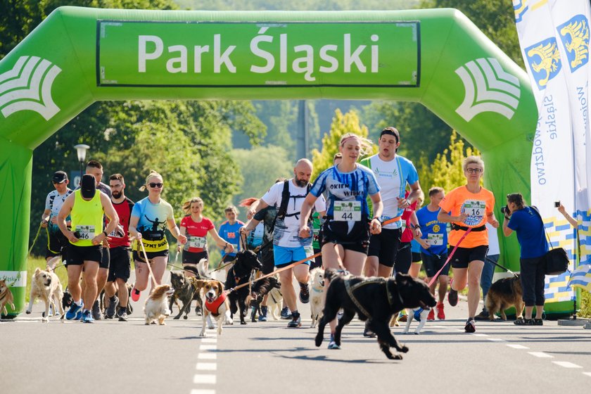 Psi Maraton po raz pierwszy zorganizowano w Parku Śląskim