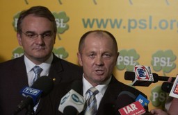 Mrozy spowodowały straty w uprawach na 1,4 mln ha w Polsce, ale klęski nie będzie