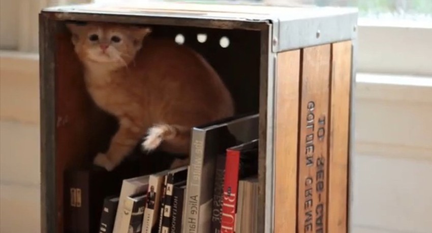 Foto: Youtube printscreen