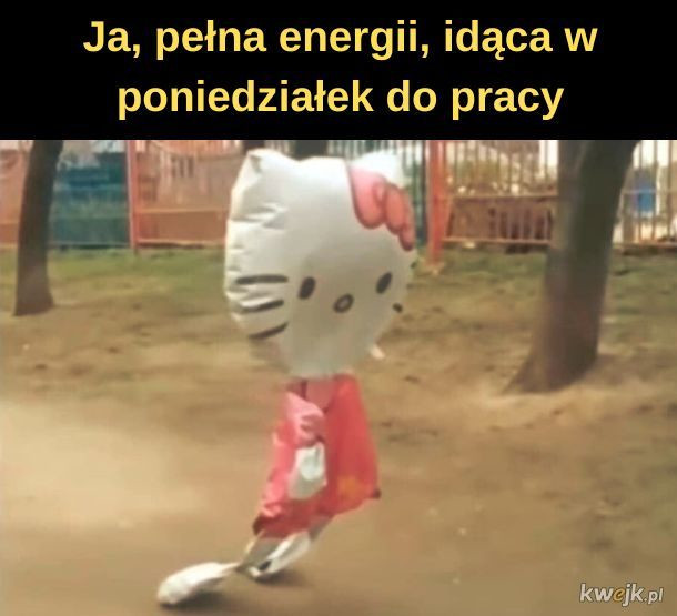 Poniedziałek — najlepsze memy