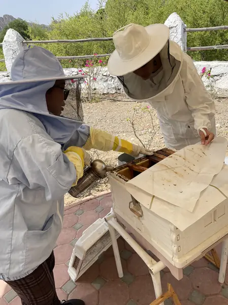 Honey Bee Discovery Centre